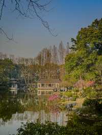 Hangzhou’s Botanical Garden 🌸