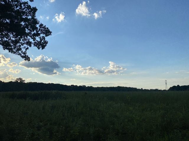 North Meadow Trail - Rocky Fork Metro Park