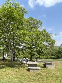올림픽공원 피크닉장을 소개합니다🌲