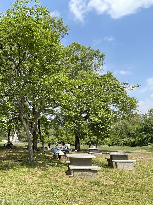 올림픽공원 피크닉장을 소개합니다🌲
