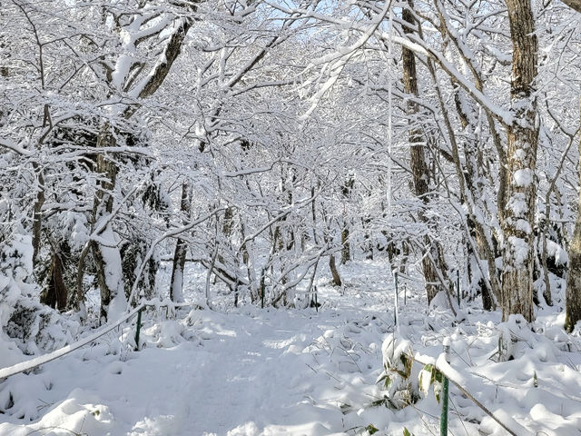 한라산 겨울 산행
