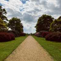 Enjoy the rhododendron forest in Langley