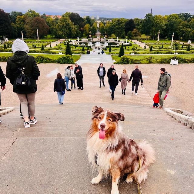 Sansoucci Park in Potsdam 👑