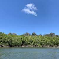 Kilim geoforest park sea eagles 