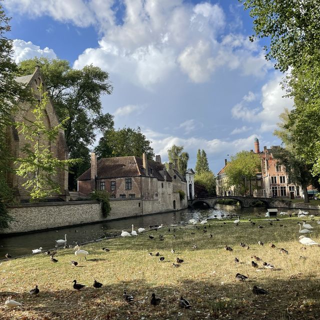 Belgium- Bruges 