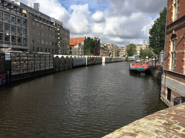 Flower Market ศูนย์รวมดอกไม้แห่ง Amsterdam