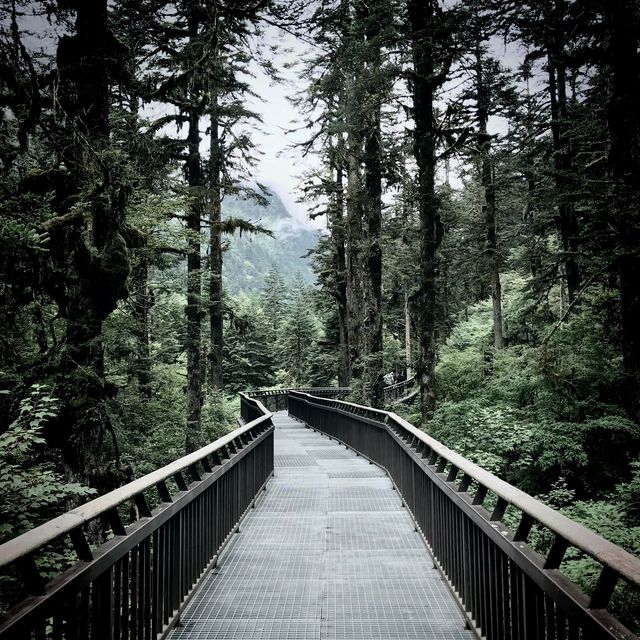 Hailuogou Glacier Rainforest Walkway 