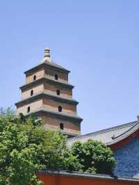 The origin of the name of the Big Wild Goose Pagoda