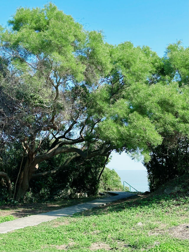 Macau's seaside path leading to a hidden paradise is so pleasant 🌳 Attached with a map.