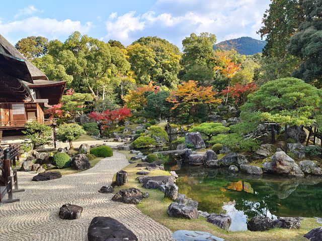 Autumn trip to Kyoto, Japan, enjoy the beauty of Bishamon-do and the red leaves of Daigo-ji Temple.