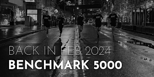 Benchmark 5000 | Greenhills Beach