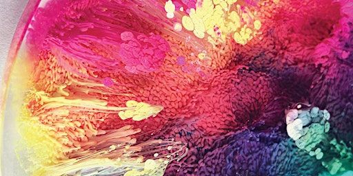 How to Create Petri Dish Resin Art with ArtResin & Jacquard Alcohol Ink: Tickets & Info | Plaza Artist Materials & Picture Framing