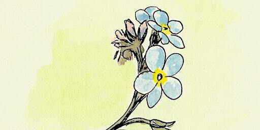 Wildlife in watercolours | St Nicholas Park
