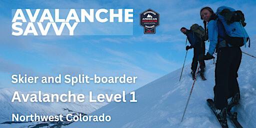 Avalanche Level 1: for Skiers and Split-boarders 1/10 -1/12/2025 | Steamboat Springs