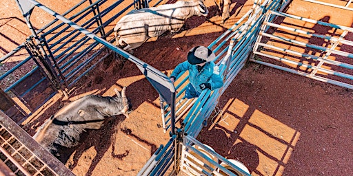 Rodeo in the Valley | 11100 Reedy Creek Rd