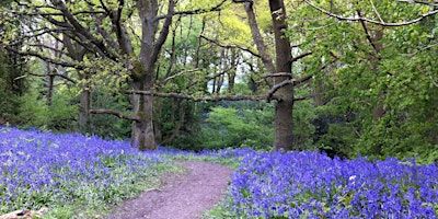 39. The Ercall 17 miles | Coalbrookdale & Ironbridge Community Centre