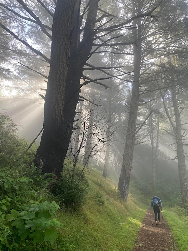 2-Night Intro To Backpacking Adventure at Point Reyes National Seashore | Point Reyes National Seashore