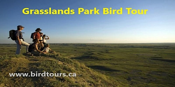 Grasslands National Park 3-day Birding Tour | Western Development Museum parking lot