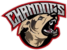 【DOTA2 SA OQ1 DreamLeague S28】Chand vs PP｜2026-01-06 06:15:00 | Online