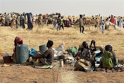 The Conflict in Sudan | The Odd One Out