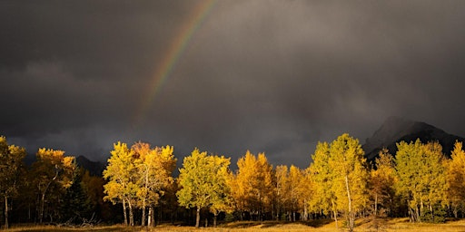 Escape to Nature Canadian Rockies Photography Workshop 2027 | Juniper Hotel & Bistro