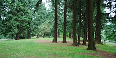 Week 5: Creative Writing and Nature Play Summer Camp | Mt Tabor Park
