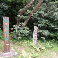 洗滌心靈朝佛之行