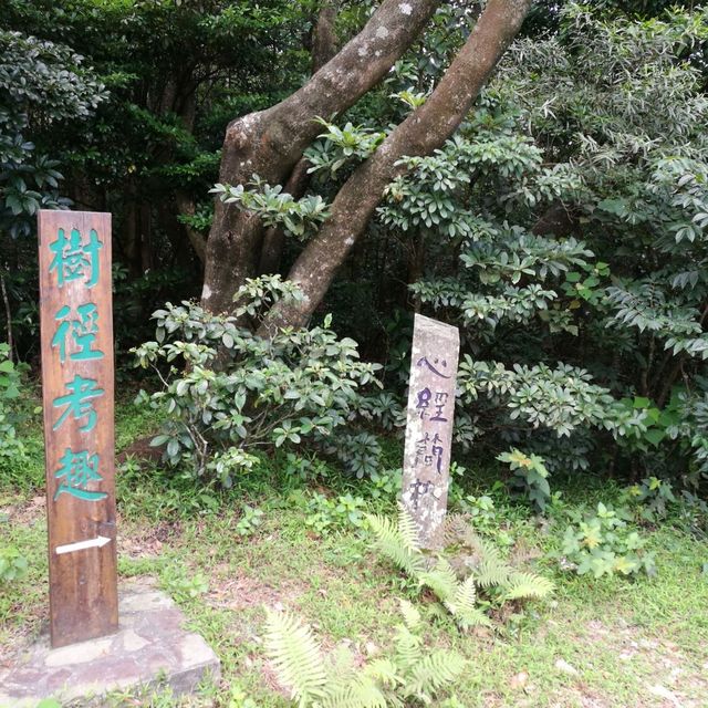 洗滌心靈朝佛之行
