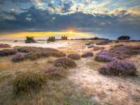 Explore Hoge Veluwe National Park