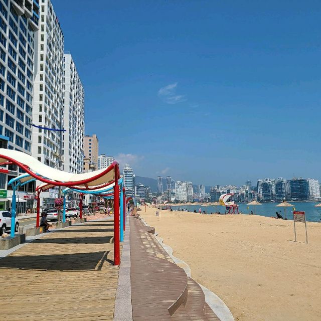 광안리 해수욕장 뷰를 마시는 카페 '할리스'