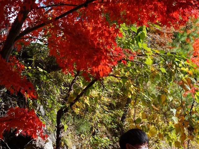 【甲府】昇仙峡