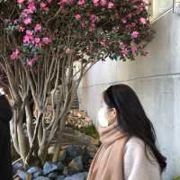 [여수] 카페 안에 정원이?!