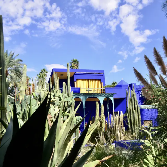 北非迷情💗摩洛哥MARRAKECH｜YSL的私人花園JARDIN MAJORELLE，宛如世外桃源! 