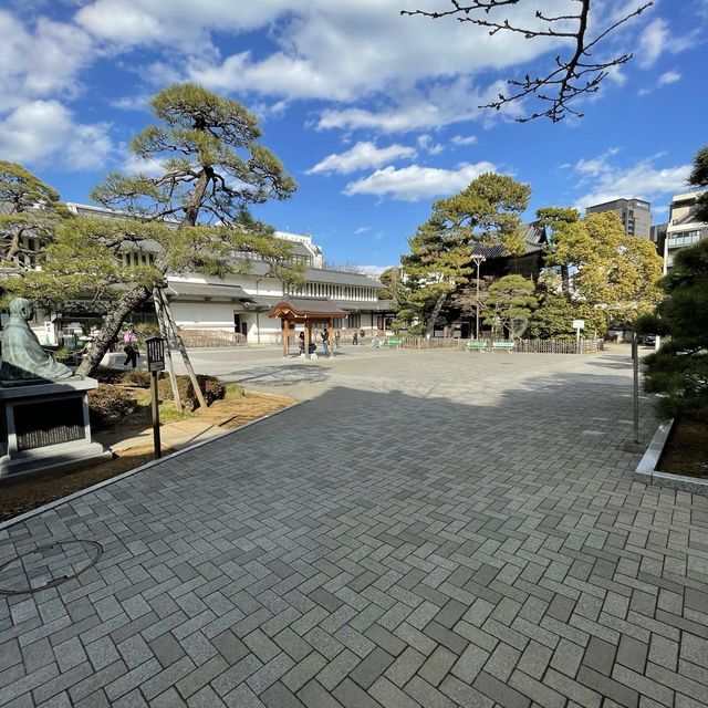 主税の梅