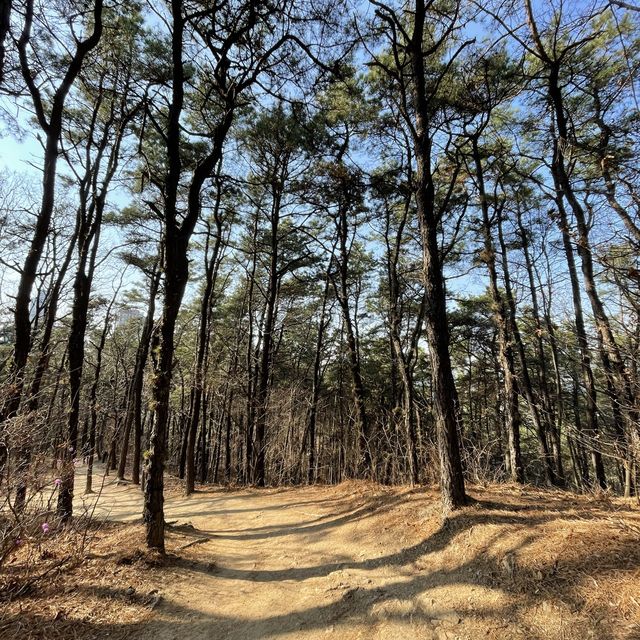 초보등린이에게 어울리는 반석산 근린공원🏔