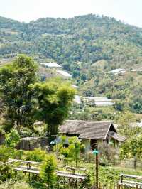 🍃🐶Mori Natural Farm ที่พัก&คาเฟ่บนภูเขาเชียงใหม่