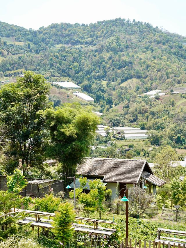 🍃🐶Mori Natural Farm ที่พัก&คาเฟ่บนภูเขาเชียงใหม่