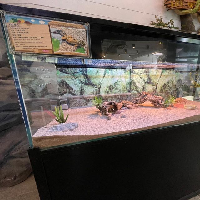 屯門公園-爬蟲館