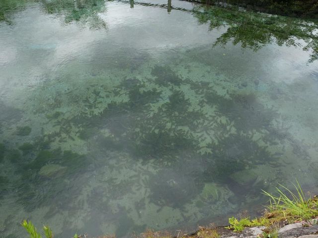鹿兒島必去打卡仙境｜霧島山麓丸池湧水