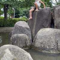 水遊びできる公園ならここ三ツ池公園