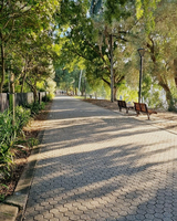 Beautiful City Botanic Gardens Brisbane