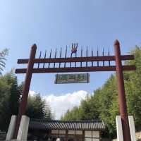 초록초록 힐링하러 죽녹원 대나무숲 담양여행