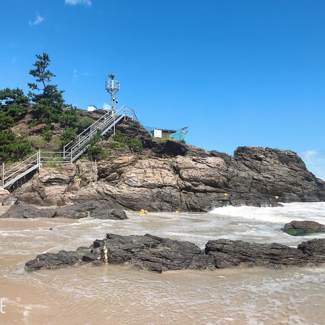 삼척 솔비치 해안산책로를 따라 걸어보아요🚶‍♀️🌊