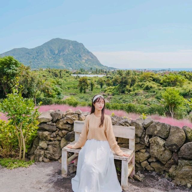 ⛰️가을이 가득히 피어난 아름다운정원 [제주, 마노르블랑]