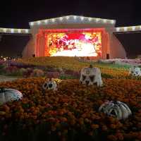 韓国【エバーランド】ハロウィン🧡大画面で迫力のある映像と花火のショー🎇🎃