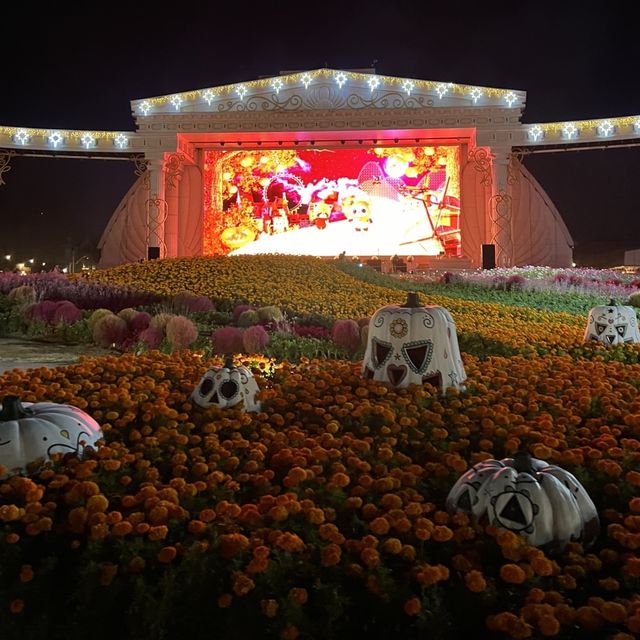 韓国【エバーランド】ハロウィン🧡大画面で迫力のある映像と花火のショー🎇🎃