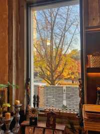 【ソウル・明洞】窓から見える最高の秋景色🍁