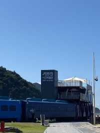 다가오는 겨울 여행, 정동진으로 🌊