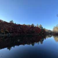 輕井澤嘅紅葉
