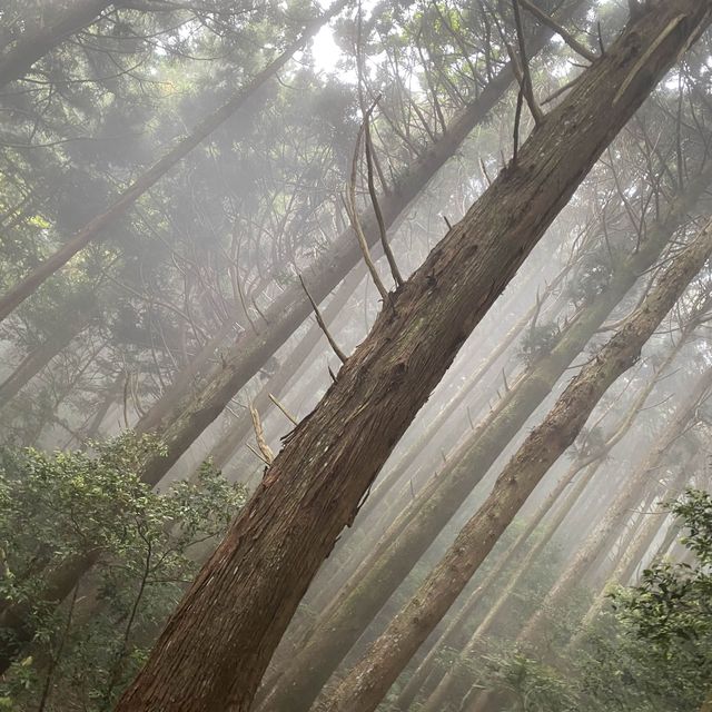 這裡是苗栗加里山